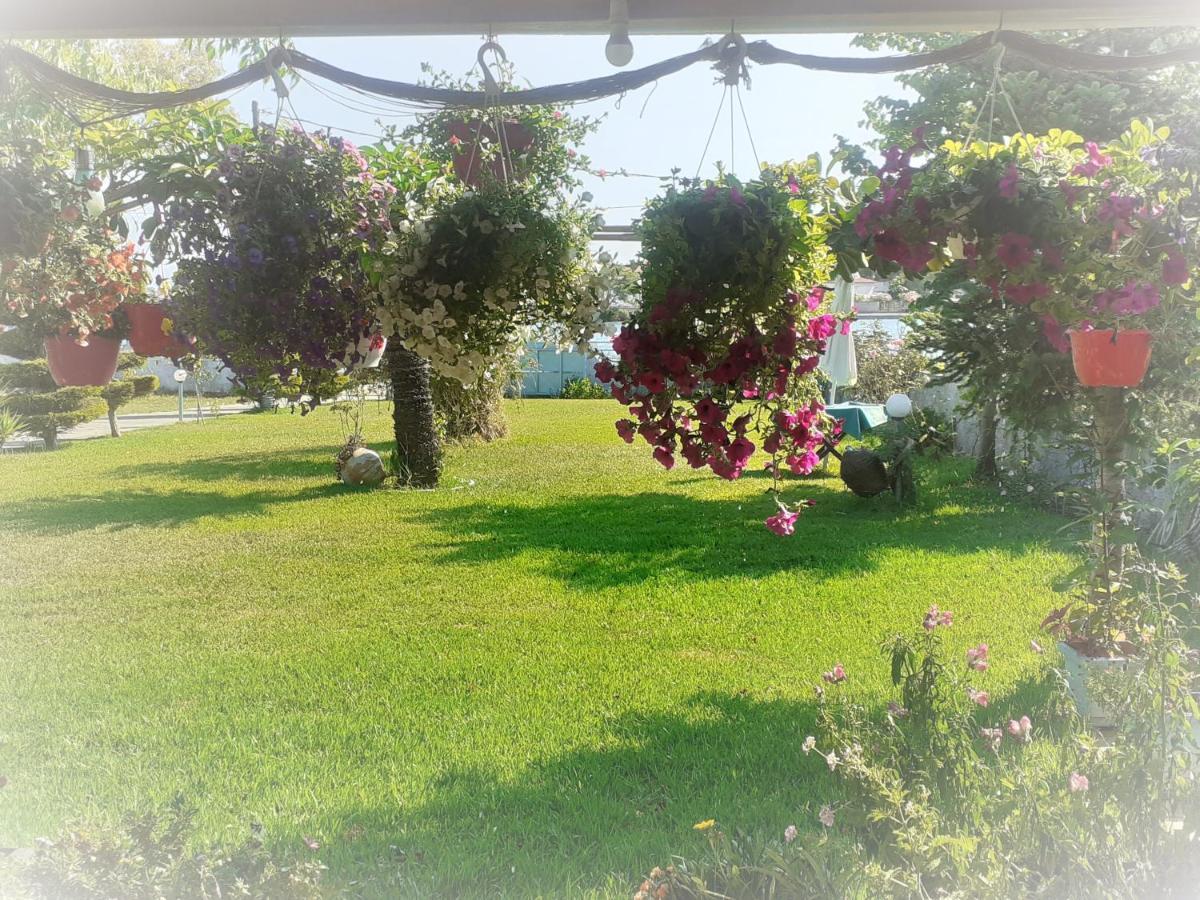 Top Floor On Villa, 3' From Center, By The Sea! Host Is Efi Kwsta Preveza Esterno foto
